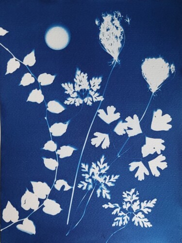 摄影 标题为“Cyanotype Hommage à…” 由Nina Beddar, 原创艺术品, 光绘摄影