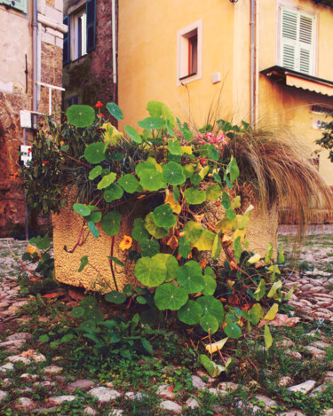Photography titled "IMG_3756" by Seb Fourseff, Original Artwork, Manipulated Photography