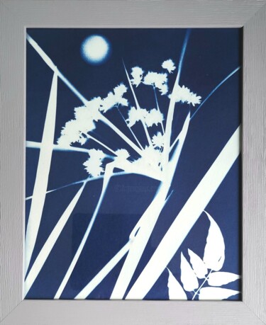 摄影 标题为“Cyanotype Hommage à…” 由Nina Beddar, 原创艺术品, 光绘摄影