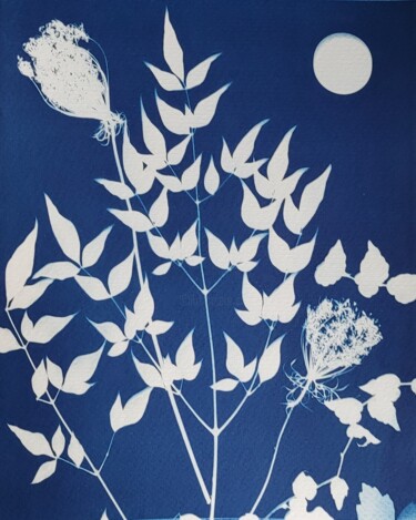 摄影 标题为“Cyanotype Hommage à…” 由Nina Beddar, 原创艺术品, 光绘摄影