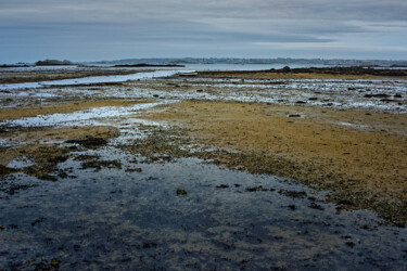 Carantec, depuis la route qui mène à l'île Callot. 摄影 标题为“Carantec, depuis la…” 由Thierry Martin, 原创艺术品, 数码摄影