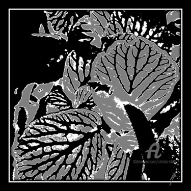 "VARIATION "674"" başlıklı Fotoğraf Christa Kloß tarafından, Orijinal sanat, Analog Fotoğrafçılık