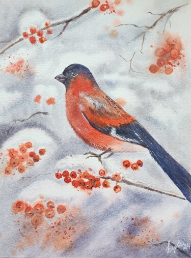 제목이 "Bullfinch"인 미술작품 Nataliya Gulina로, 원작, 수채화