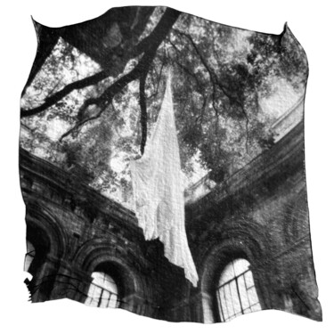 Black and White Polaroid photo art flowing fabric in forest Фотография под названием "Black and White Pol…" - Vladimir Borele, Подлинное произведение искусства, Изображение, сгенериров…