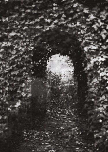 "Door" başlıklı Fotoğraf Madness tarafından, Orijinal sanat, Analog Fotoğrafçılık