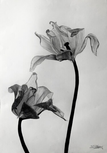 Drawing titled "Rencontre florales" by Sandrine Piegay, Original Artwork, Graphite