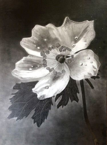 Drawing titled "Perles de rosée" by Sandrine Piegay, Original Artwork, Graphite