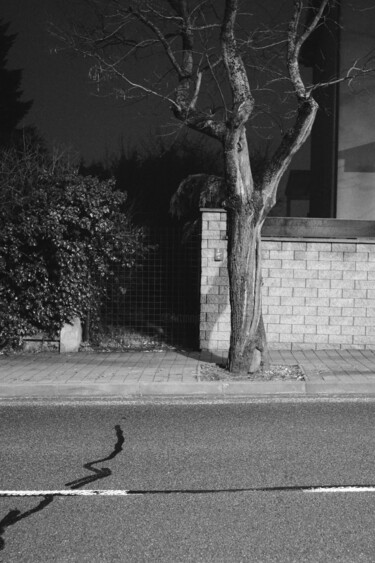 摄影 标题为“street composition…” 由Zheka Khalétsky, 原创艺术品, 非操纵摄影