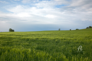 「Wheat field - Échev…」というタイトルの写真撮影 Scott Gregory Bannerによって, オリジナルのアートワーク, デジタル