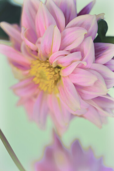 摄影 标题为“Flowerissimo_17838” 由Michael Vdovin, 原创艺术品, 数码摄影