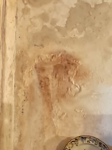 Singe l'homme Guépard