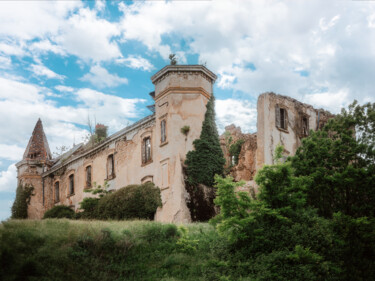Photographie intitulée "Chateau Végétal 5" par Loïc Cancade, Œuvre d'art originale, Photographie non manipulée