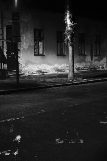 摄影 标题为“street composition…” 由Zheka Khalétsky, 原创艺术品, 非操纵摄影