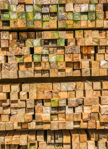 Photographie intitulée "labirinto." par Nino Rocha Fotografia, Œuvre d'art originale, Photographie numérique