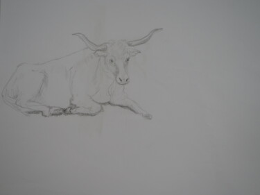 "dessin de boeuf" başlıklı Resim Jean-Marc Quilichini tarafından, Orijinal sanat, Kalem