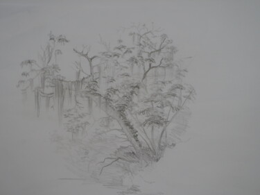 Drawing titled "souche d'arbre 2" by Jean-Marc Quilichini, Original Artwork, Pencil