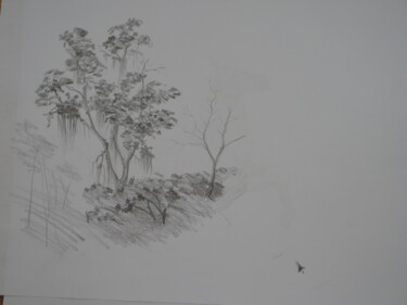 Drawing titled "dessin de plante 2" by Jean-Marc Quilichini, Original Artwork, Pencil