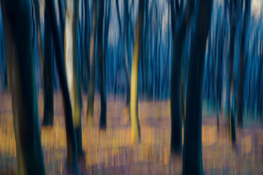Photography titled "Into the woods 001" by Marko Rupena, Original Artwork, Digital Photography