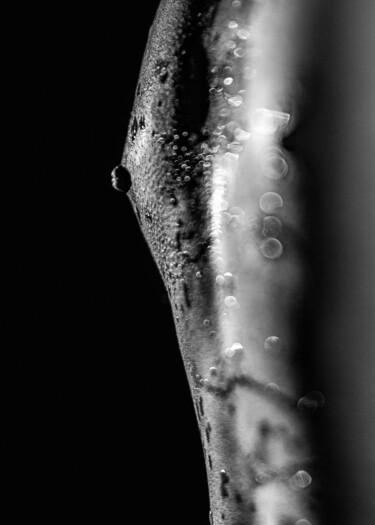Dress Code : Light No.1 - Limited Edition 1 of 5 제목이 "Dress Code : Light…"인 사진 Burak Bulut Yıldırım로, 원작, 디지털