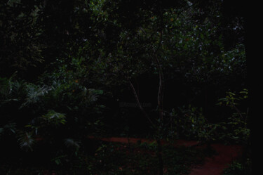Fotografie mit dem Titel "Hidden Trees I (fro…" von Junus Aspassi, Original-Kunstwerk, Digitaldruck Auf Plexiglas montiert