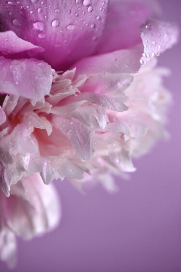Photography titled "Flowerissimo_17240" by Michael Vdovin, Original Artwork, Digital Photography