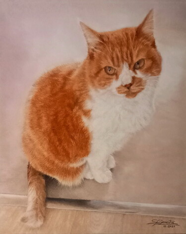 Painting titled "Cannelle" by Sylvie Geneste, Original Artwork, Pastel