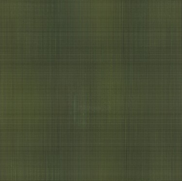 数字艺术 标题为“Green cloth” 由Nobuaki Nakamura, 原创艺术品, 数字油画
