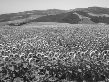Fotografia intitolato "terra di molise, ca…" da Roberto Ferrero, Opera d'arte originale, Fotografia digitale
