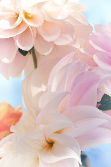 "Flowerissimo_40870" başlıklı Fotoğraf Michael Vdovin tarafından, Orijinal sanat, Dijital Fotoğrafçılık