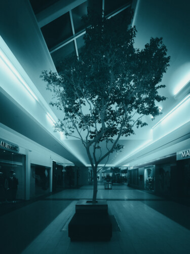 Photography titled "Lonely tree" by Loïc Cancade, Original Artwork, Digital Photography