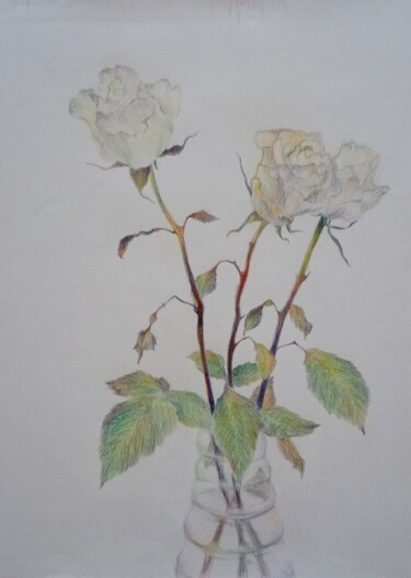 Tekening getiteld "roses" door Liudmila Rabinovich, Origineel Kunstwerk, Potlood