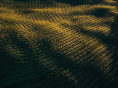 Photographie intitulée "Vertige #19" par Loïc Cancade, Œuvre d'art originale, Photographie numérique