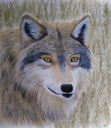 "LOUP 2" başlıklı Resim Véronique Lenfant tarafından, Orijinal sanat, Pastel