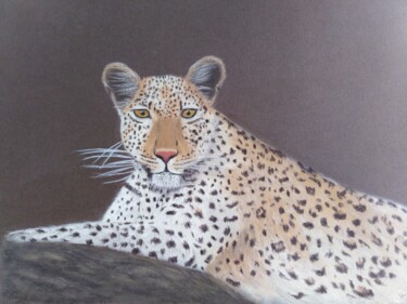 Tekening getiteld "PANTHERE" door Véronique Lenfant, Origineel Kunstwerk, Pastel