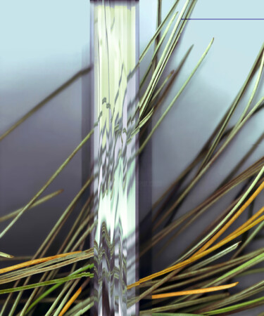 Digital Arts titled "Aiguilles de pin 2.…" by Jelica Fritig, Original Artwork, Digital Photography