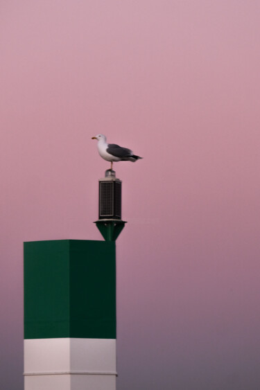 제목이 "Guardian of the Sun…"인 사진 Gilliard Bressan로, 원작, 디지털