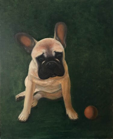 Painting titled "Французский бульдог" by Anna Vlasova, Original Artwork, Oil