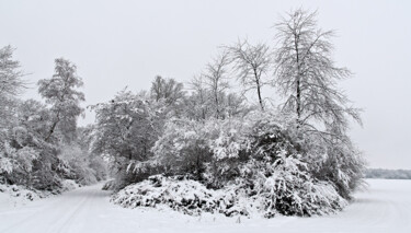 Photographie intitulée "Couleurs d'hiver 13." par Thierry Martin, Œuvre d'art originale, Photographie numérique