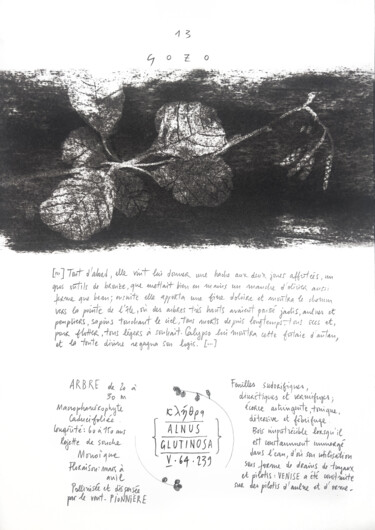 Dessin intitulée "ALNUS GLUTINOSA" par Gaele Flao, Œuvre d'art originale, Fusain Monté sur Panneau de bois