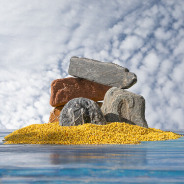 Pollen zen 14 Photography titled "Pollen zen 14" by Gaspard De Gouges, Original Artwork, Digital Photography