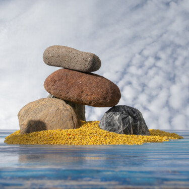 Photographie intitulée "Pollen zen 16" par Gaspard De Gouges, Œuvre d'art originale, Photographie numérique