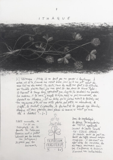 Dessin intitulée "TRIFOLIUM" par Gaele Flao, Œuvre d'art originale, Fusain Monté sur Panneau de bois