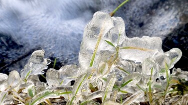 제목이 "Robe de cristal"인 사진 Sylvie Chapuis로, 원작, 조작되지 않은 사진