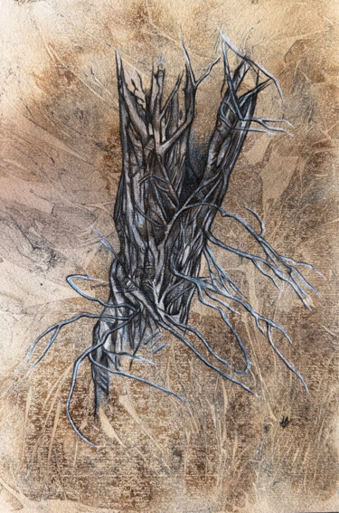 Картина под названием "Toned grey roots" - Anne Brigaud, Подлинное произведение искусства, Графит