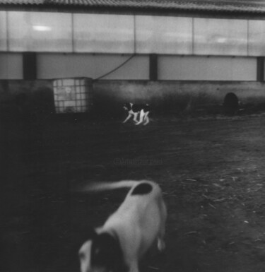 Fotografie getiteld "Périgord noir 12" door Sylvie Valem, Origineel Kunstwerk, Digitale fotografie Gemonteerd op Frame voor…