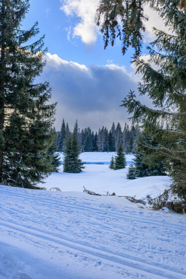 Le sentier blanc de Šumava Photography titled "Le sentier blanc de…" by Florent Baudy, Original Artwork, Digital Photography