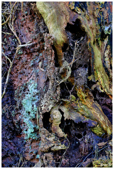 Photography titled "# 10926" by Bruno Dujardin, Original Artwork, Digital Photography