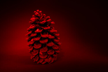 Photography titled "PIGNE 2" by Jean-Marc Portes, Original Artwork, Light Painting