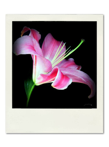 数字艺术 标题为“Polaroid Serie N1” 由Marco Victorino, 原创艺术品, 数字油画