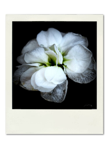 数字艺术 标题为“Polaroid Serie N3” 由Marco Victorino, 原创艺术品, 数字油画